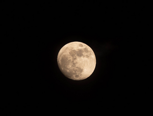 Électricien Tassin-la-Demi-Lune